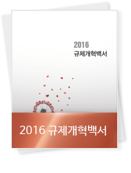 2017 규제개혁백서
