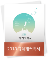 규제개혁백서2018